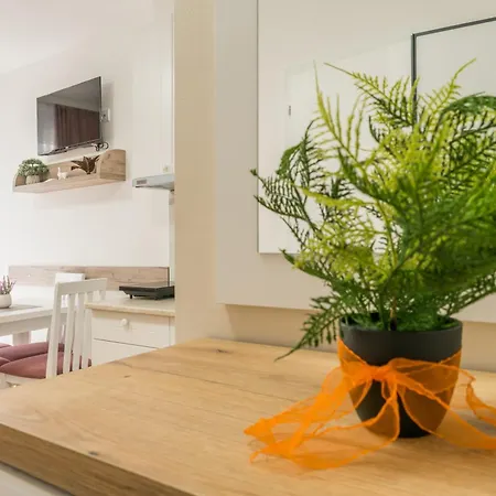 Lucky Lux 1 I 2 Apartman Vrnjačka Banja